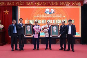 🎉 LỄ TRAO TẶNG HUY HIỆU ĐẢNG 🎉