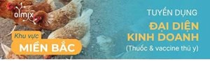 OLMIX GROUP tuyển dụng ĐẠI DIỆN KINH DOANH 