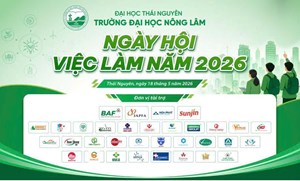 NGÀY HỘI VIỆC LÀM NĂM 2026.