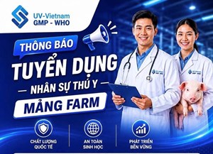 📢 UV-VIETNAM TUYỂN DỤNG NHÂN SỰ THÚ Y – UV MẢNG FARM