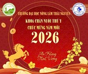🌸 GẶP MẶT CHÀO XUÂN BÍNH NGỌ NĂM MỚI 2026 – KHỞI ĐẦU HÀNH TRÌNH MỚI 🌸